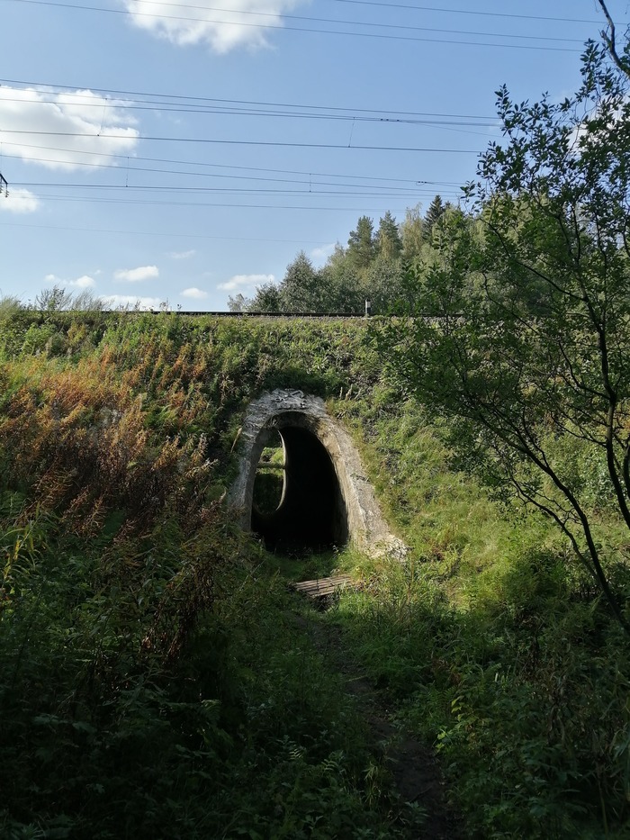 � ���� ����� ����� ������� ���� � ������� � �����.