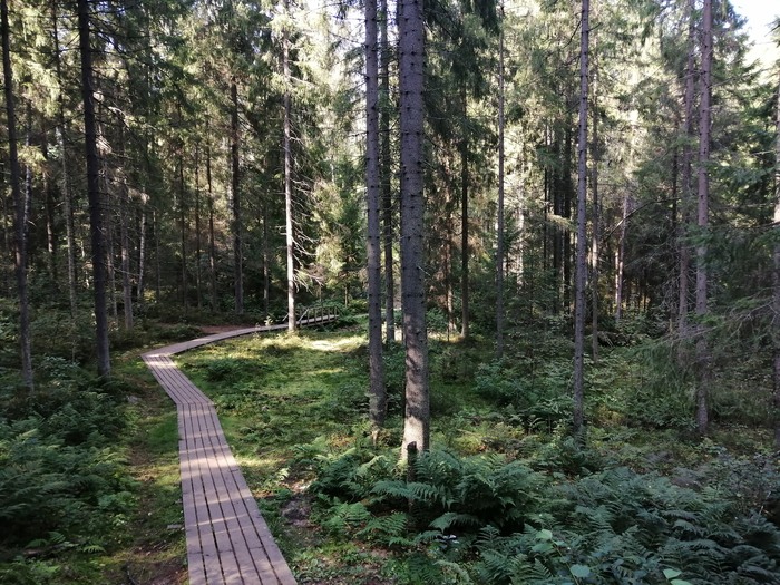 �� ����������� ����� ������� ������