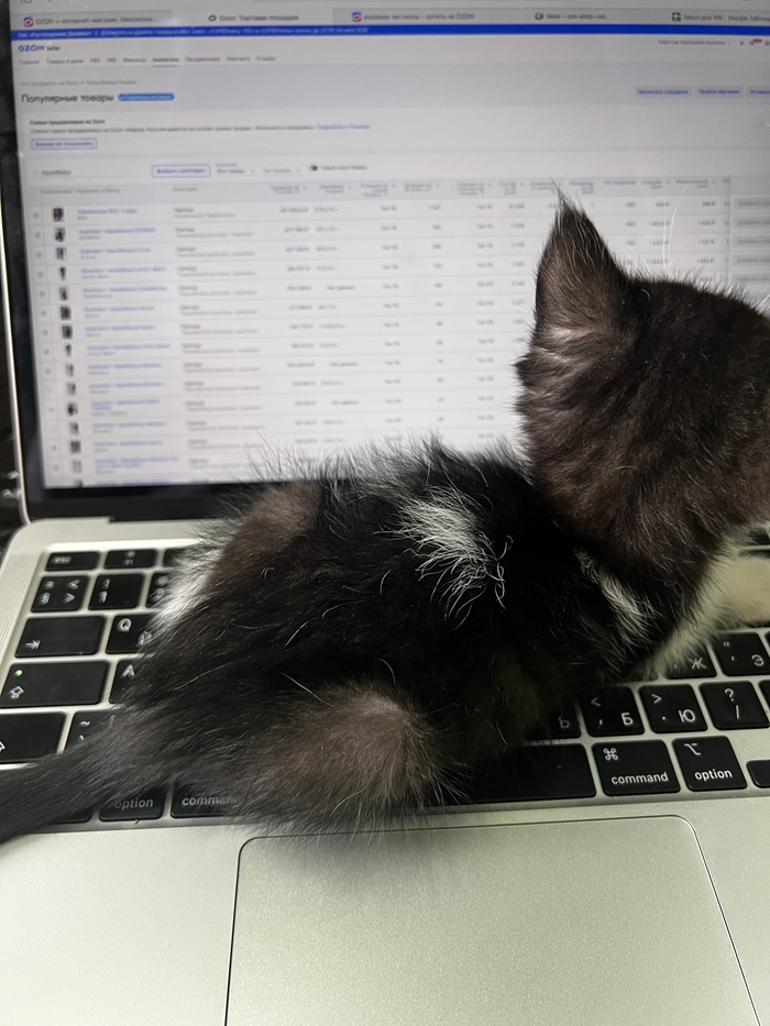 �������� �������� �������� � ��������� � ��������� �����))