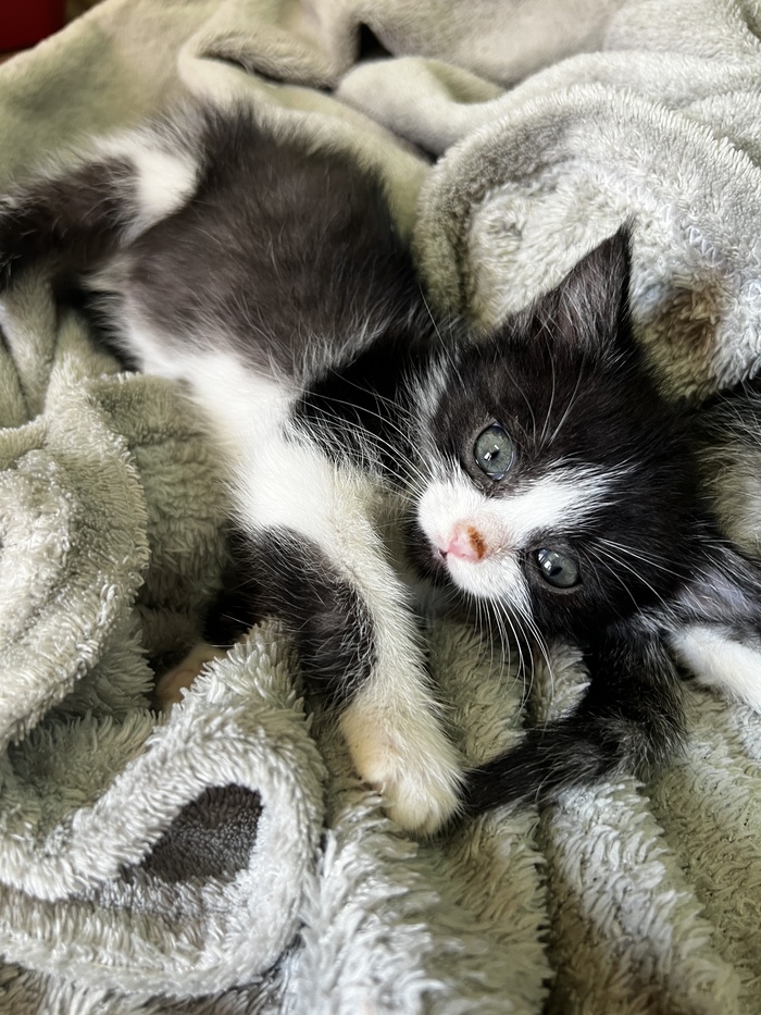 ��� ���� � ����. ������� ����� 400 ��, �� �� ������ ����� � ���� ����.