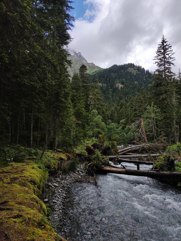 Река Чистая подмыла крутой берег.