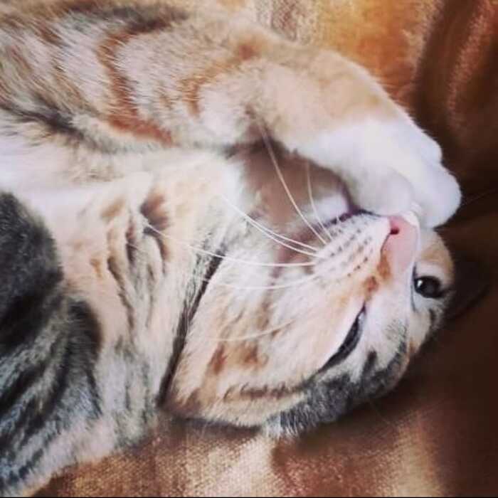 Маникюрные процедуры