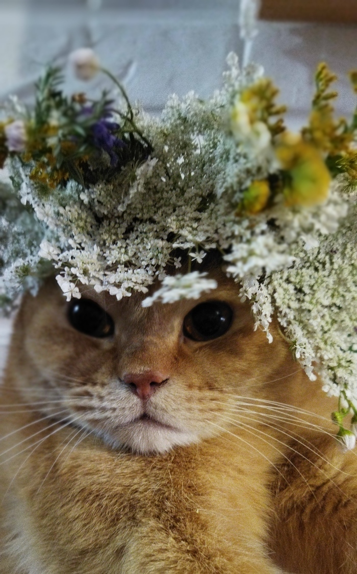 ����� �����