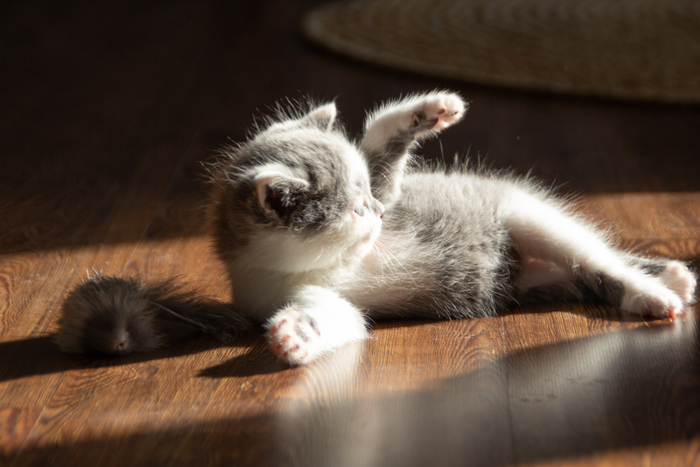 Греемся в лучах осеннего солнышка