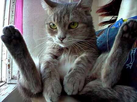 Март меня доканает, надо завязывать!