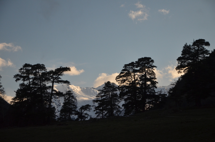 �������� �������