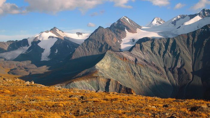 ������ ����, �����