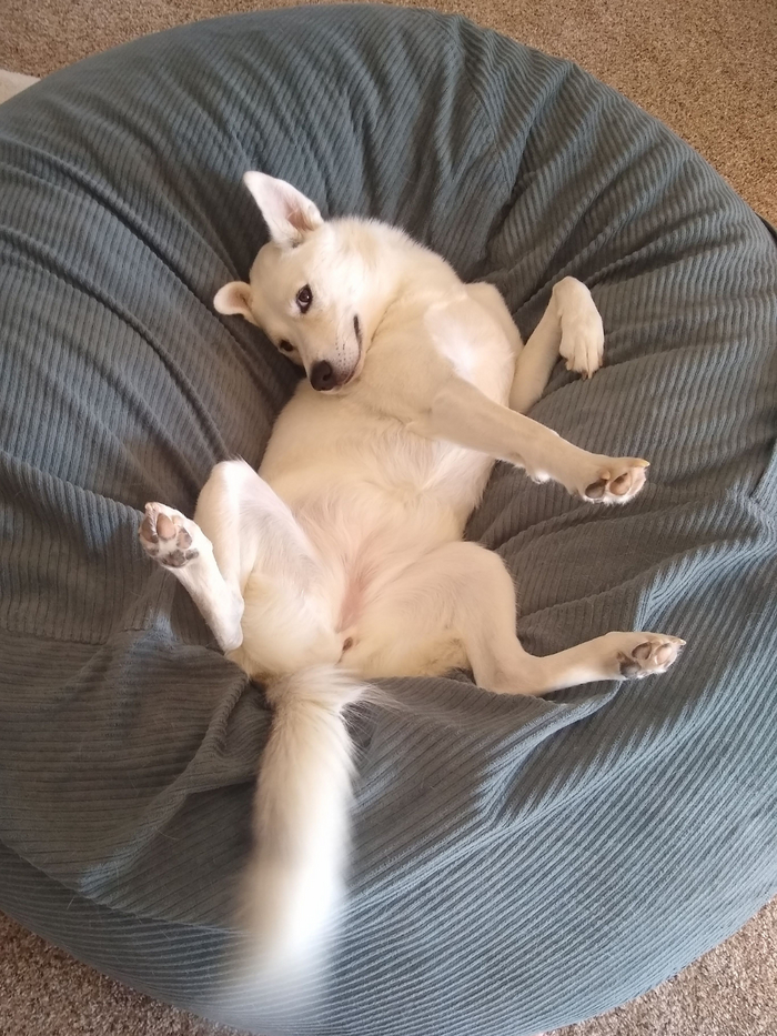 А ты точно продюсер?