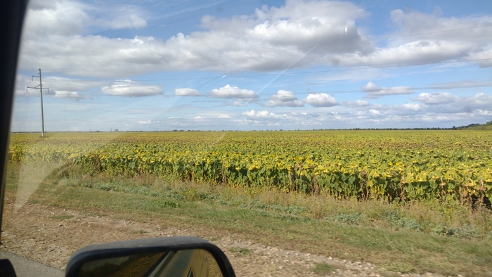 Саратовская область