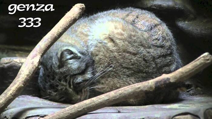 ���� � �������