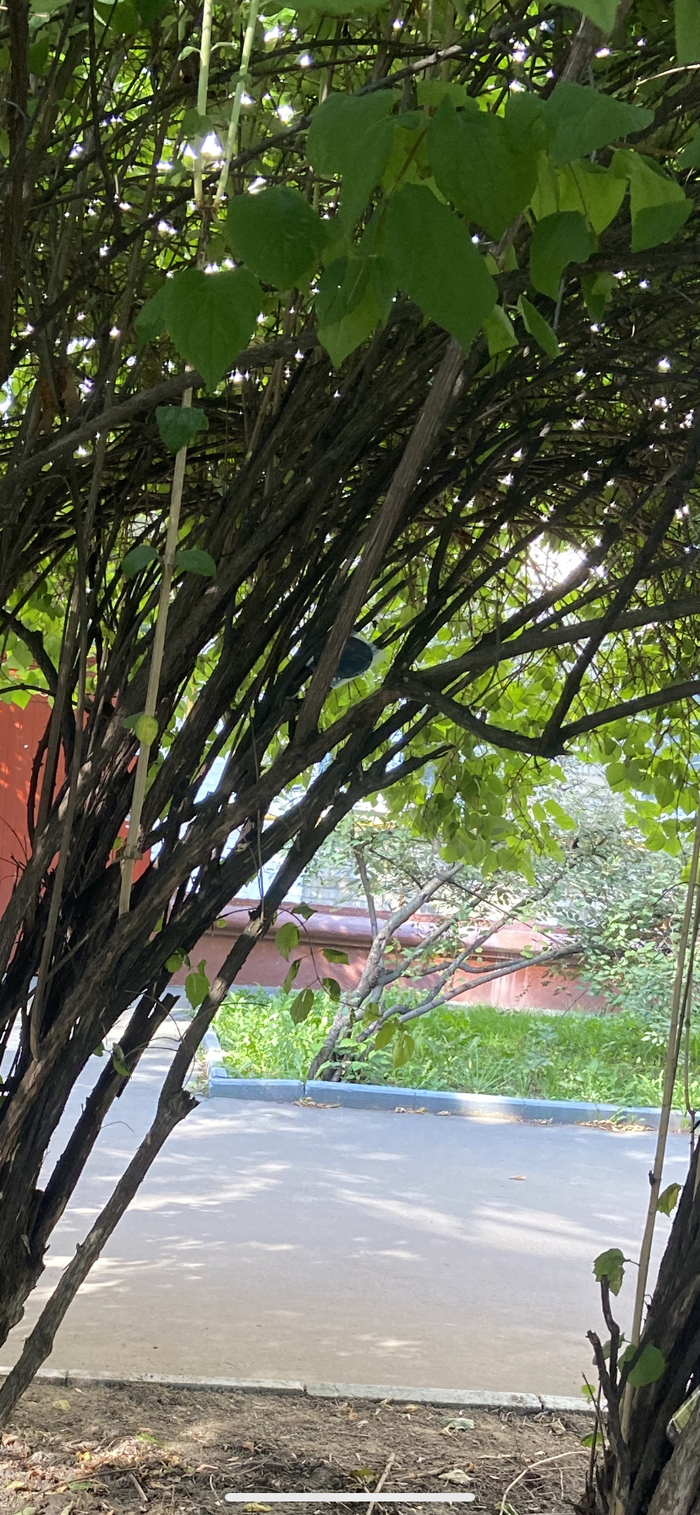 Не теряем надежду)