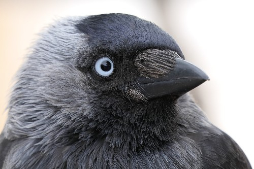 Ничего личного, просто бизнес!