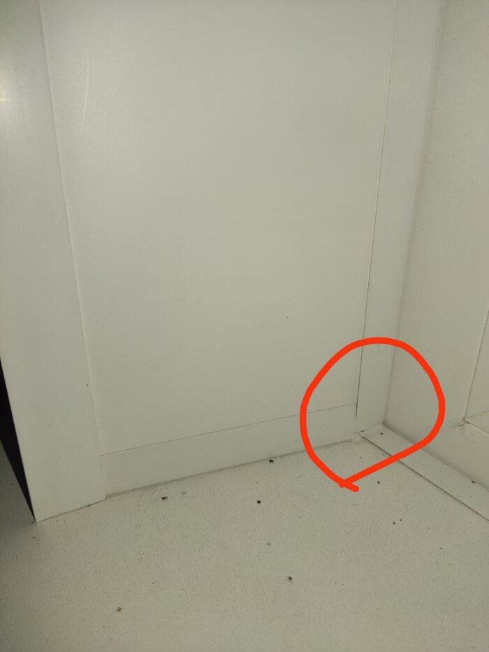 ��� ��� ������� ����� �� ���������� ��� ���?