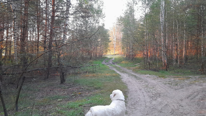 Любуемся местными красотами