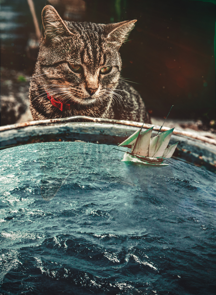 � ��� ������� ���������?...