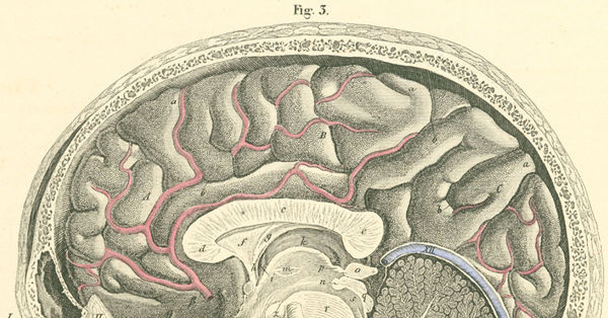 Коронавирус мозг