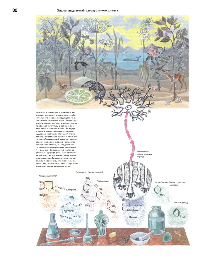 ��� ������� �� ��� ��������, � ������ ��� ����� ��������� ����� ������� ���������� � �������� �� ����� � ������ � ����.