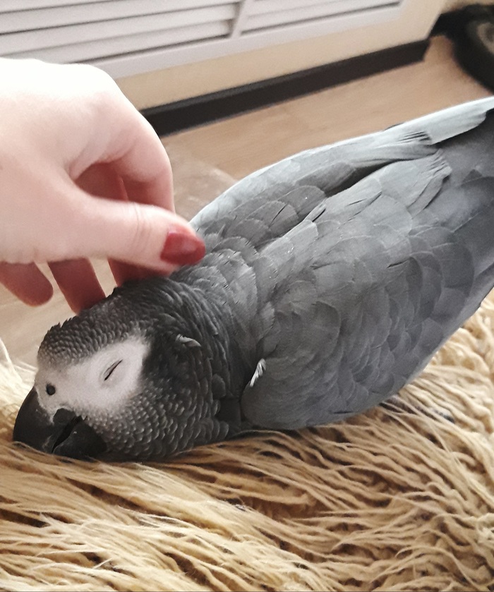 Ласкай меня полностью