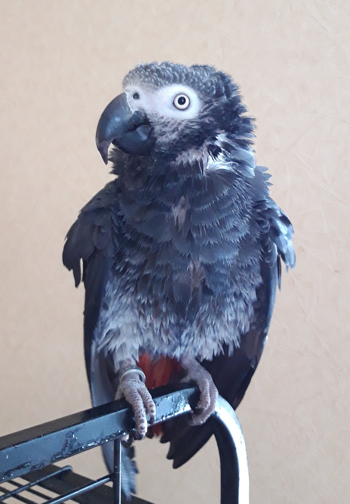 Опосля водных процедур