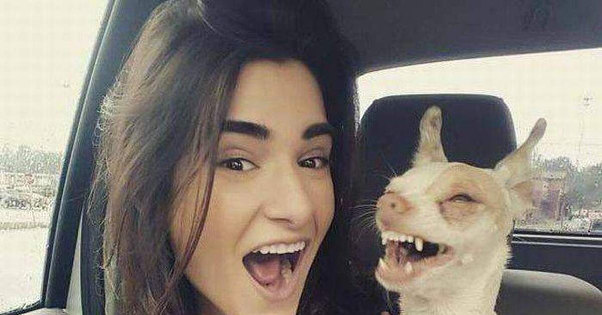 У обеих нет нижних зубов))) | Пикабу