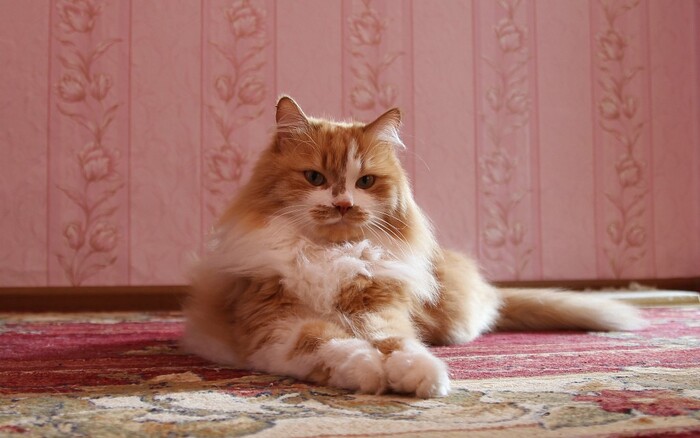 16.08.2009 - 14.09.2023. �����.