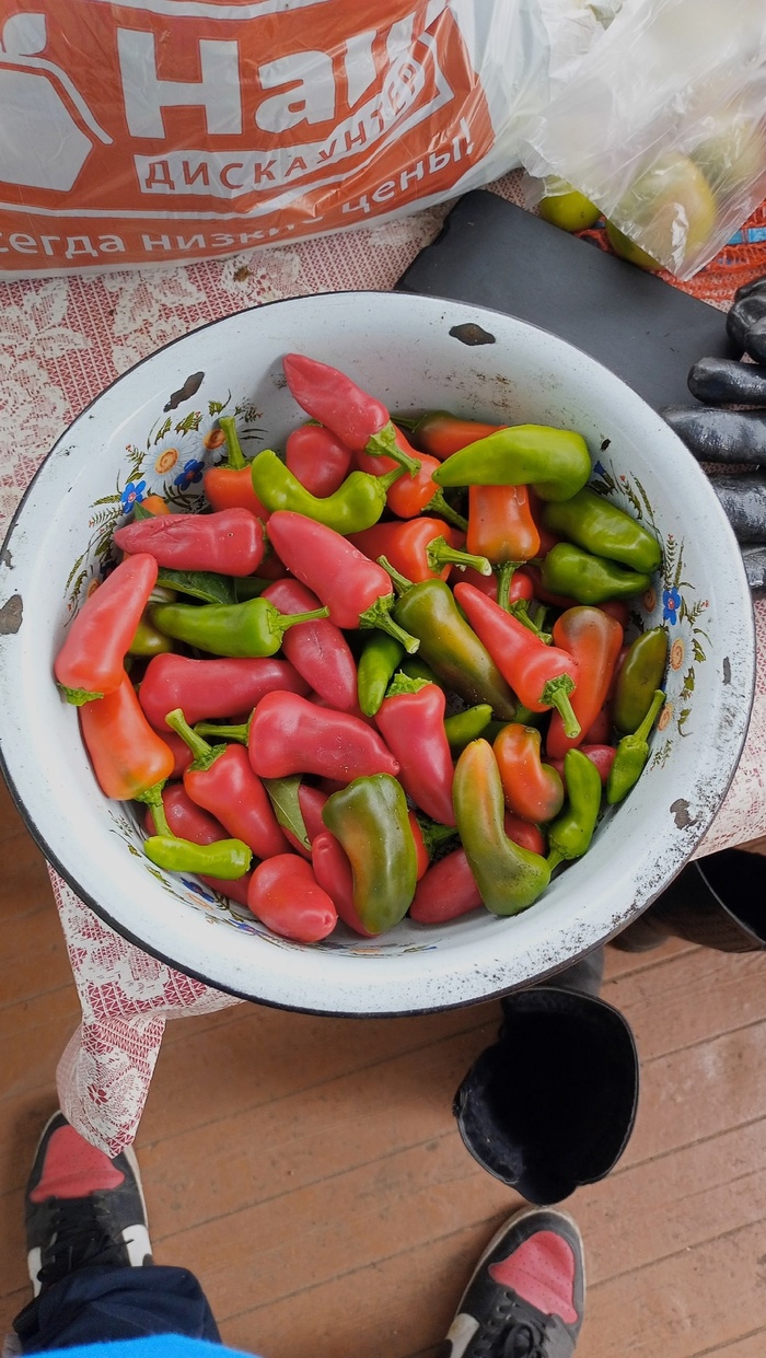 Ярко малиновый фресно) Его мне отправили в подарок за заказ из фитопитомника)