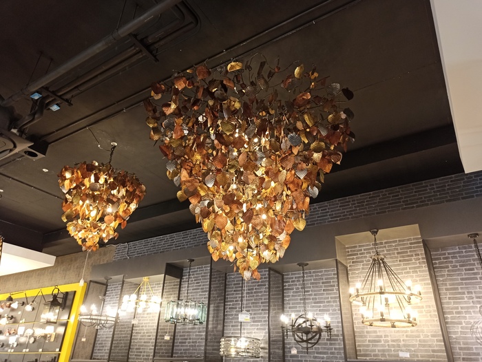 ,      Disciples II &#x1F60A;