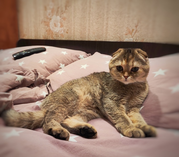 ��� ��������� �������