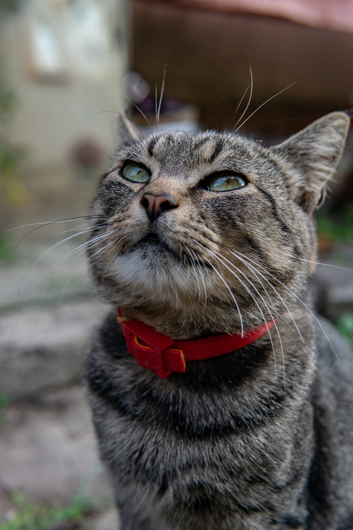 ��� ���� ����� ���� "��������� ����"