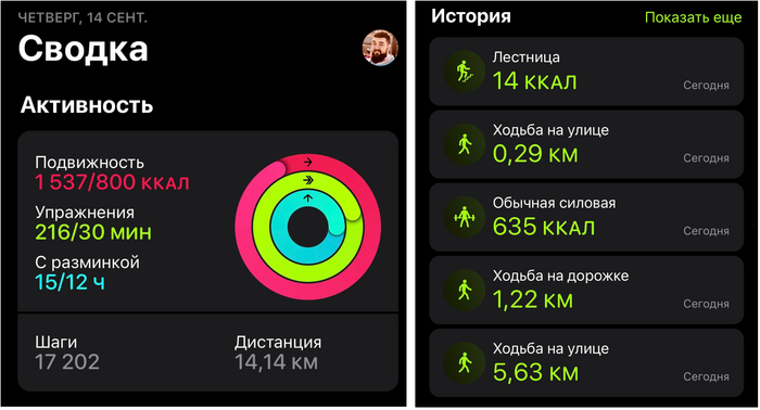 �������������������� ����