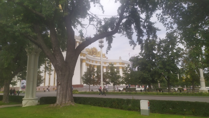 В поиске непривычных ракурсов.