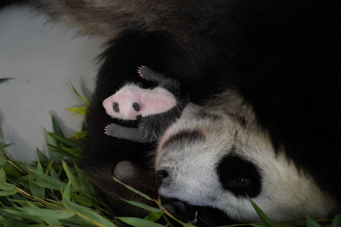 Кушаем и спим