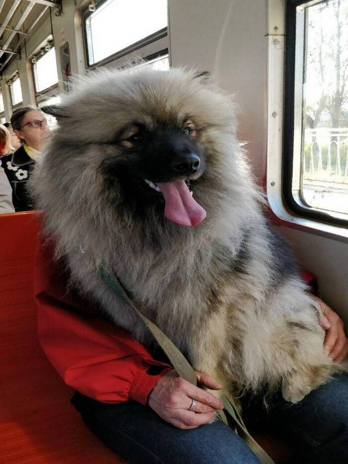 ��� ��� ���������� � ����������, �������� ����� � ��������� ��������