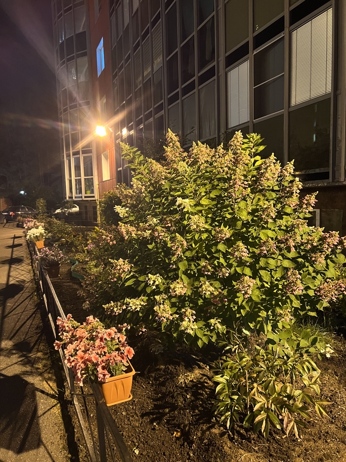 Жить за городом классно)