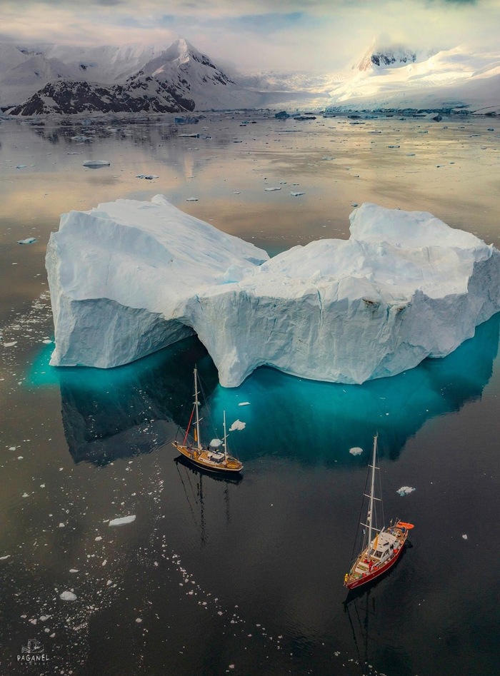 Арктика: экспедиция к диким животным и ледяным ландшафтам