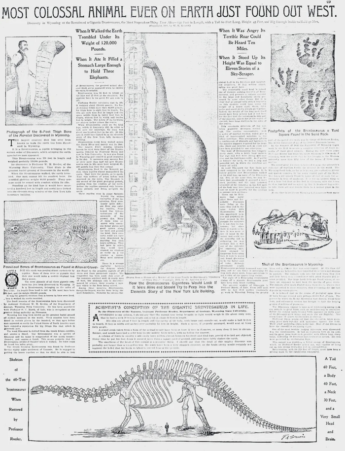  New York Journal and Advertiserer N29 11.12.1898.        7- 