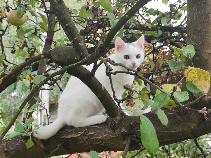 ������ ������!