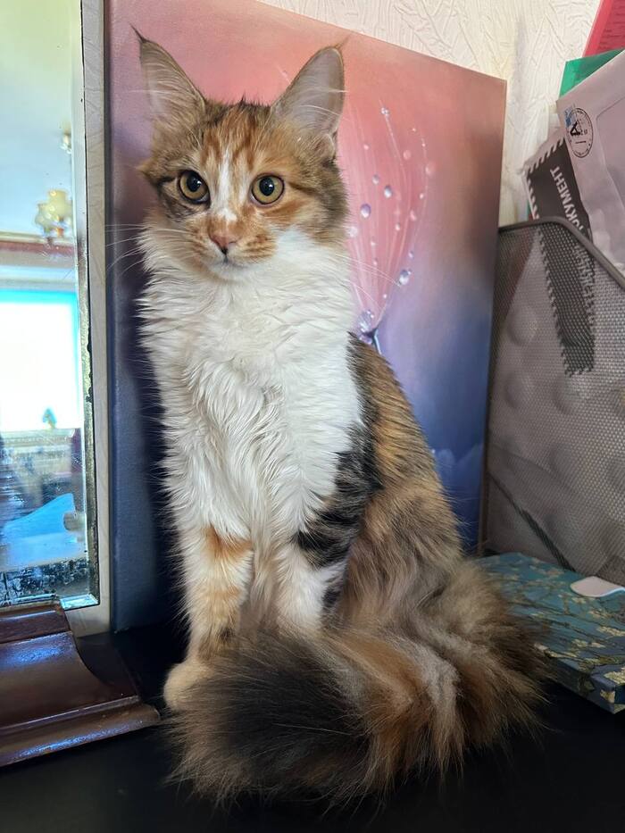 ���� ���� �� ��.