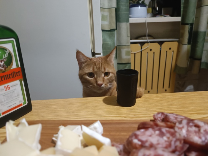    ,     , , , 
