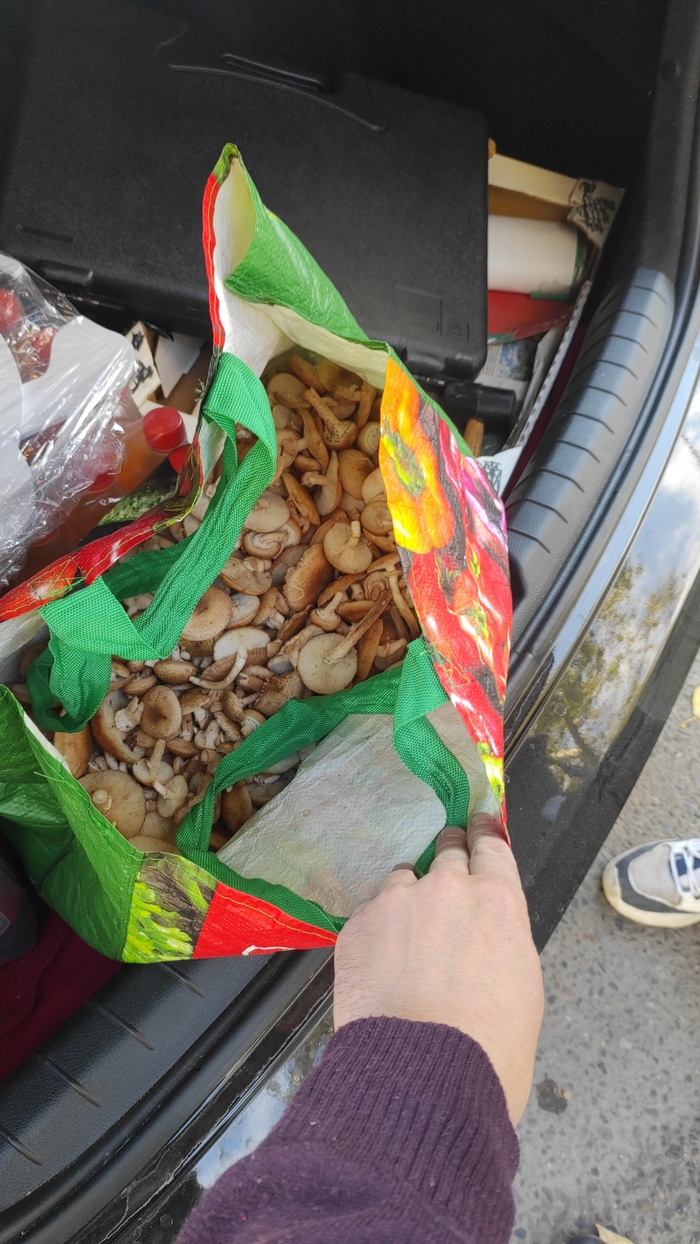 � ������� �� �����....