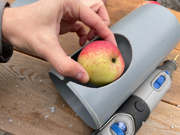 Фото автора