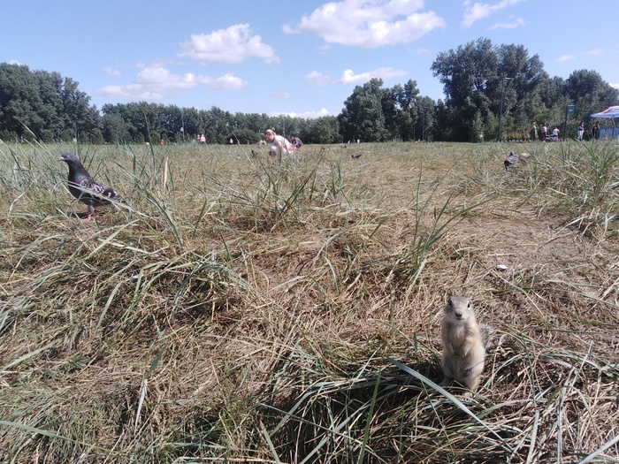 Татышева, Кырск