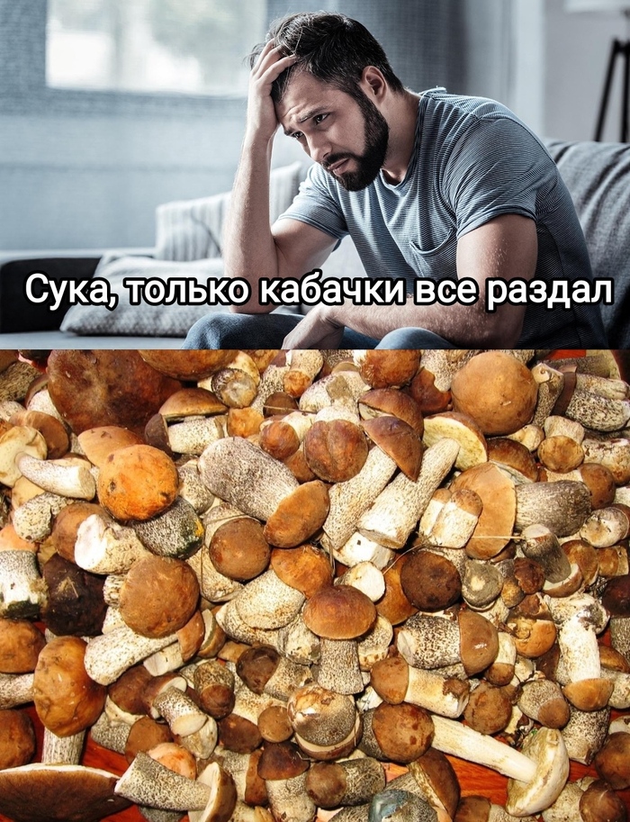 Грибы пришли на смену кабачкам