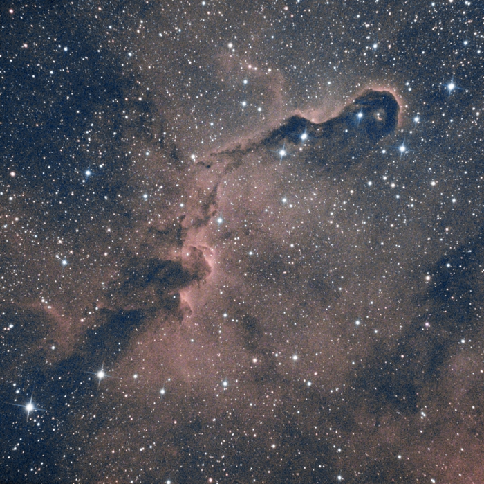 Туманность Хобот Слона, часть туманности IC 1396.