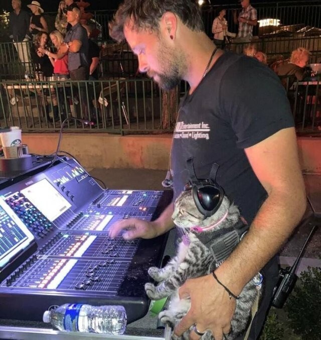   , ,  , 