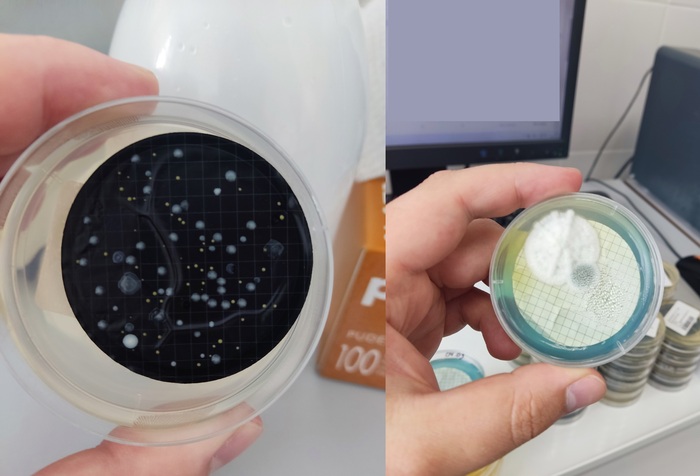      (1 -      , 2 -     ).