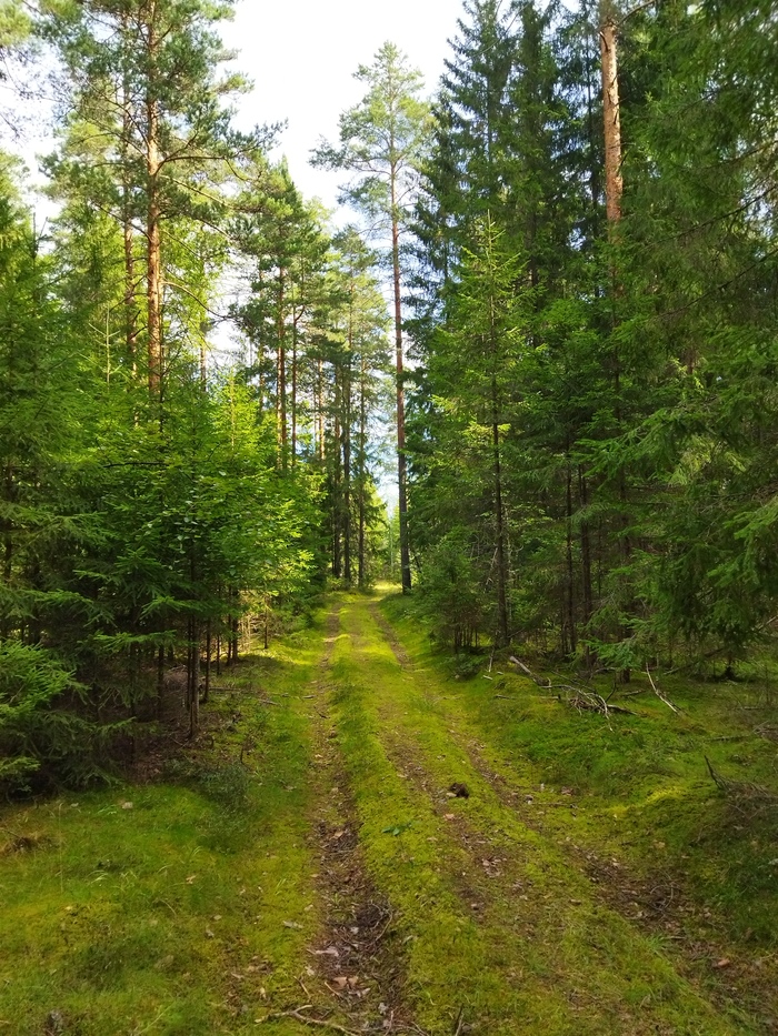 ������� ���