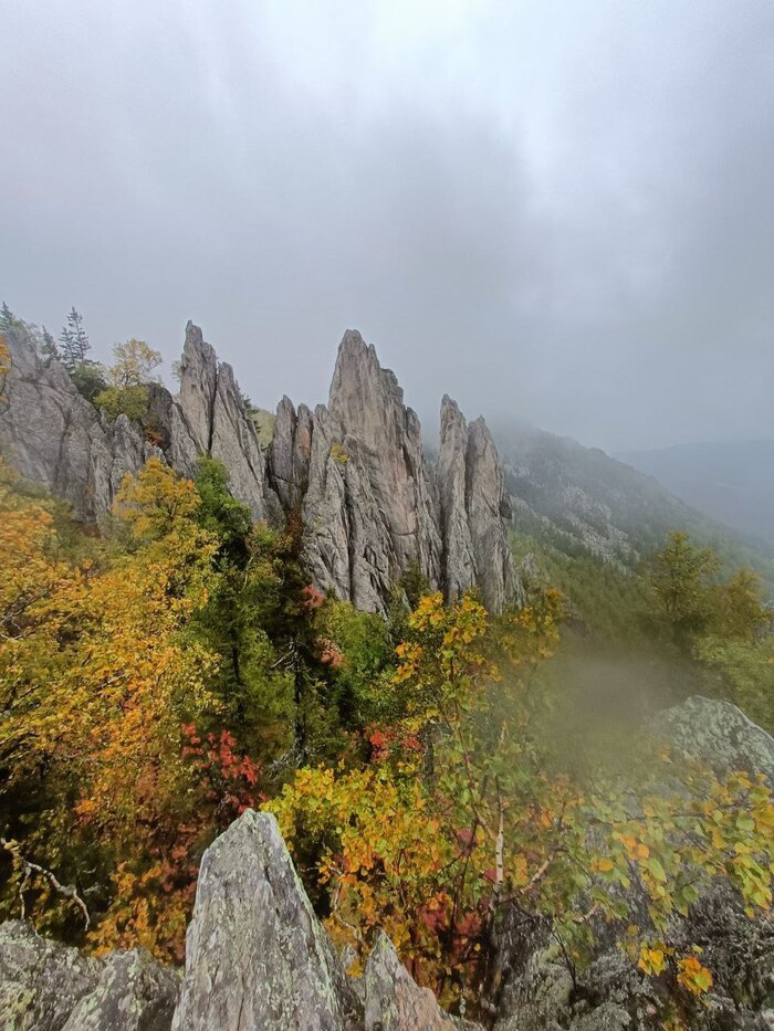 Вершина "перья"