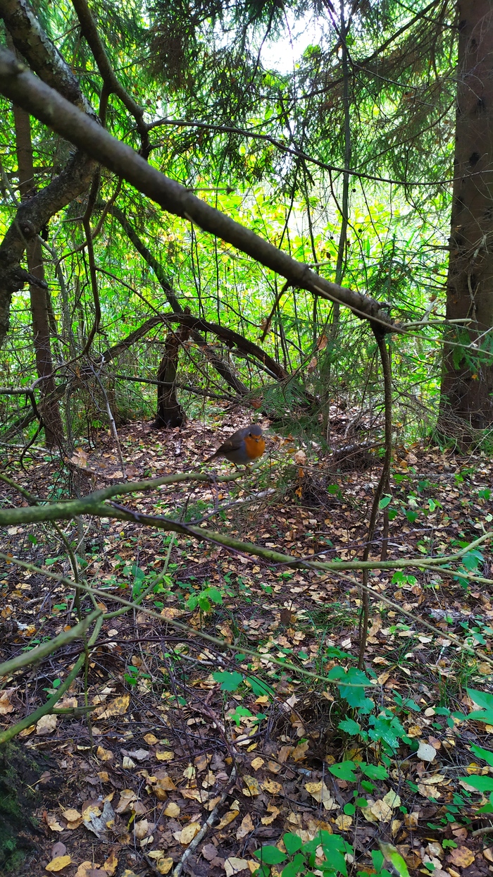 Не боялся,дал себя пофоткать.