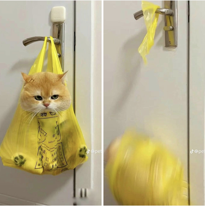 Краткая история | Пикабу